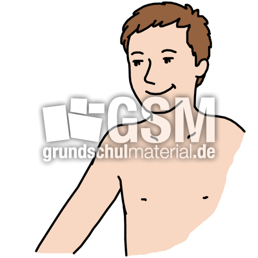 Schulter_farb.jpg